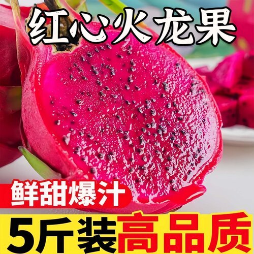 云南红心火龙果当季新鲜水果蜜红肉当季水果现摘热带自提