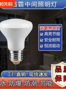 浴霸中间照明灯泡led节能灯家用卫生间小灯泡E27螺口通用灯防水