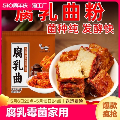 腐乳曲粉毛霉菌粉家用臭豆腐毛豆腐发酵粉霉豆腐豆腐乳发酵菌自制