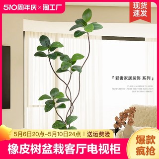 仿真绿植橡皮树盆栽客厅电视柜旁轻奢落地摆件大型室内仿生植物假