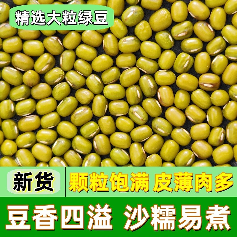 东北农家小绿豆新货农家自产绿豆发芽绿豆汤五谷杂粮大粒精品新鲜
