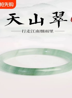 天山翠手镯手链精致女款细条玉镯仿冰透飘花款小众镯子半山细圆条