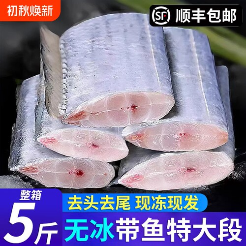新鲜带鱼段冷冻带鱼块东海小眼深鲜活海鱼海鲜水产年货中段整箱