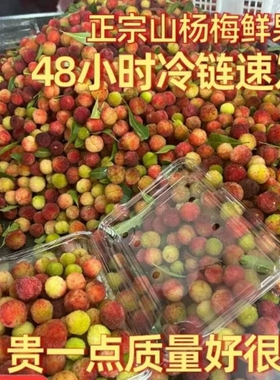 2026新鲜青红杨梅鲜果泡酒山杨梅开胃酸水果本地当季小山杨梅
