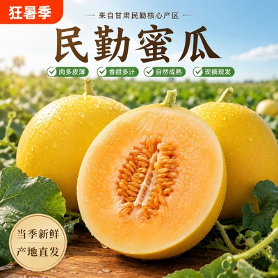 正宗黄河蜜瓜甜瓜新鲜水果应当季整箱包邮黄金脆香瓜哈密甘肃民勤