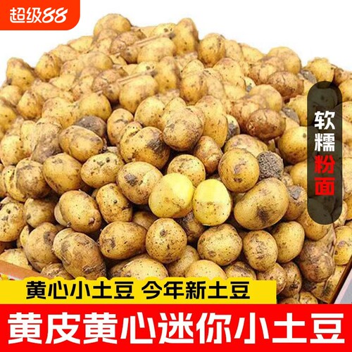 恩施小土豆新鲜马铃薯