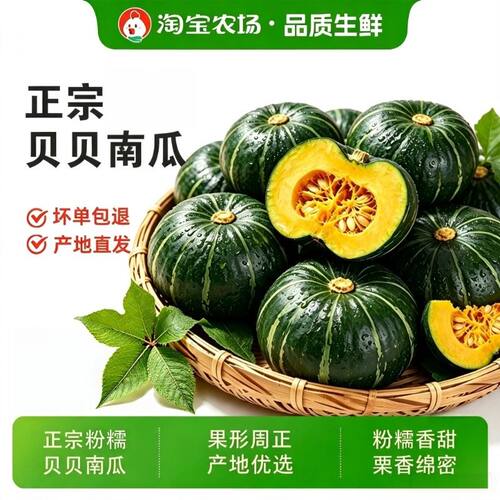 正宗贝贝南瓜包邮板栗味小南瓜老瓜新鲜蔬菜辅食粉糯香甜300g+
