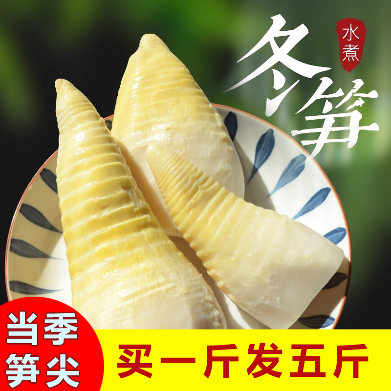 高山野生新鲜冬笋竹笋真空袋装笋尖春笋火锅蔬菜笋子批发商用
