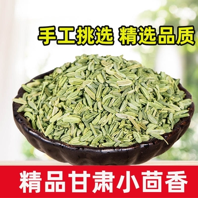 精品甘肃小茴香精选当季新货