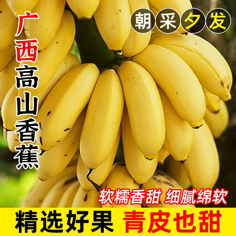 云南高山香蕉9斤新鲜当季水果整箱大芭蕉叶小米蕉甜香焦自然熟