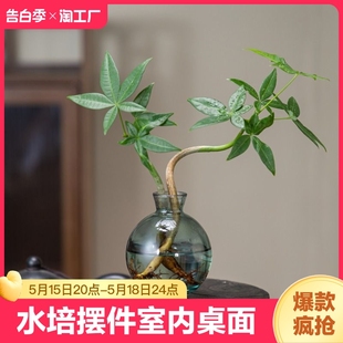 发财树水培植物摆件室内桌面办公室四季 好养活绿植盆栽茶室客厅