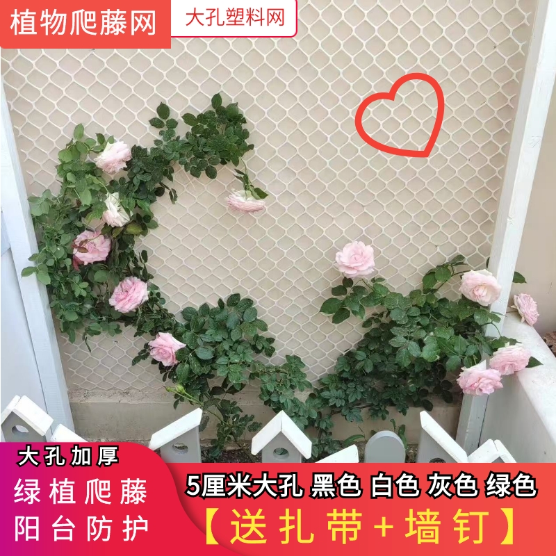 植物爬藤网塑料网架花墙网