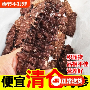送礼鲜蒸即食海参大连鲜活辽刺参滋补刺参礼盒底播品质旗舰店冷冻