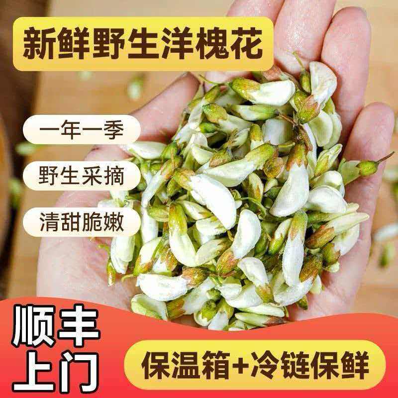 秦岭野生槐花新鲜现摘洋槐花蒸菜纯天然野菜蔬菜农家杨槐树花苞