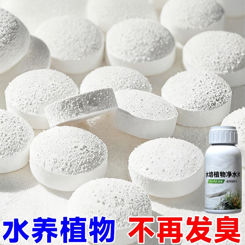 水培植物净水片除臭杀菌消毒鲜花花卉保鲜剂碗莲除藻专用净化水质