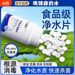 饮用水专用净水片官方旗舰店户外野外生存消毒水井食用级二氧化氯