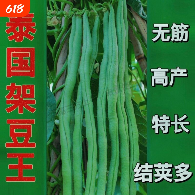 青条长豆角蔬菜种子压塌架长豇豆种籽四季高产易种庭院春秋播种