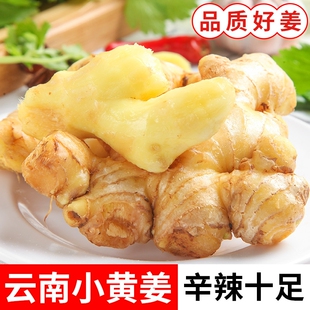 蔬菜9斤 老姜云南小黄姜红河新鲜生姜老姜现挖高山沙姜土姜当季