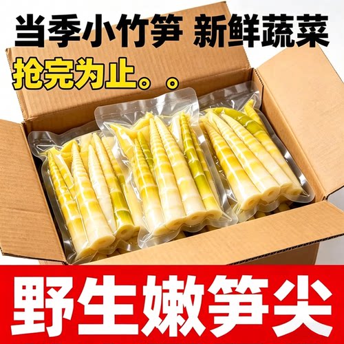 2026野生小竹笋小春笋清水笋嫩笋尖鲜笋高山嫩竹笋商用新鲜美味
