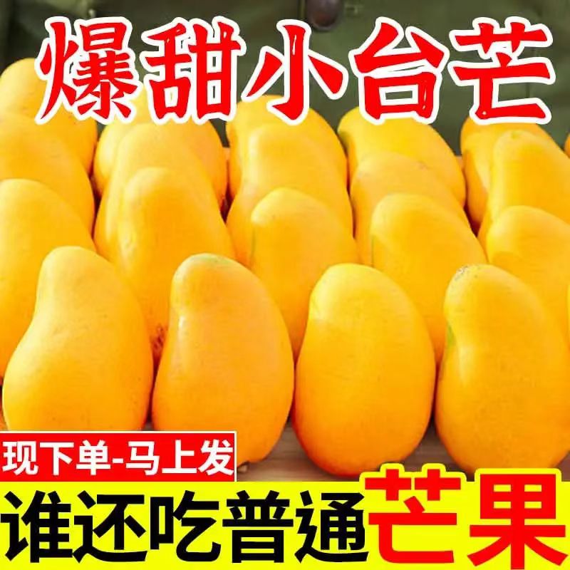 正宗海南小台农芒芒果新鲜当季水果热带芒果现摘特产整箱包邮
