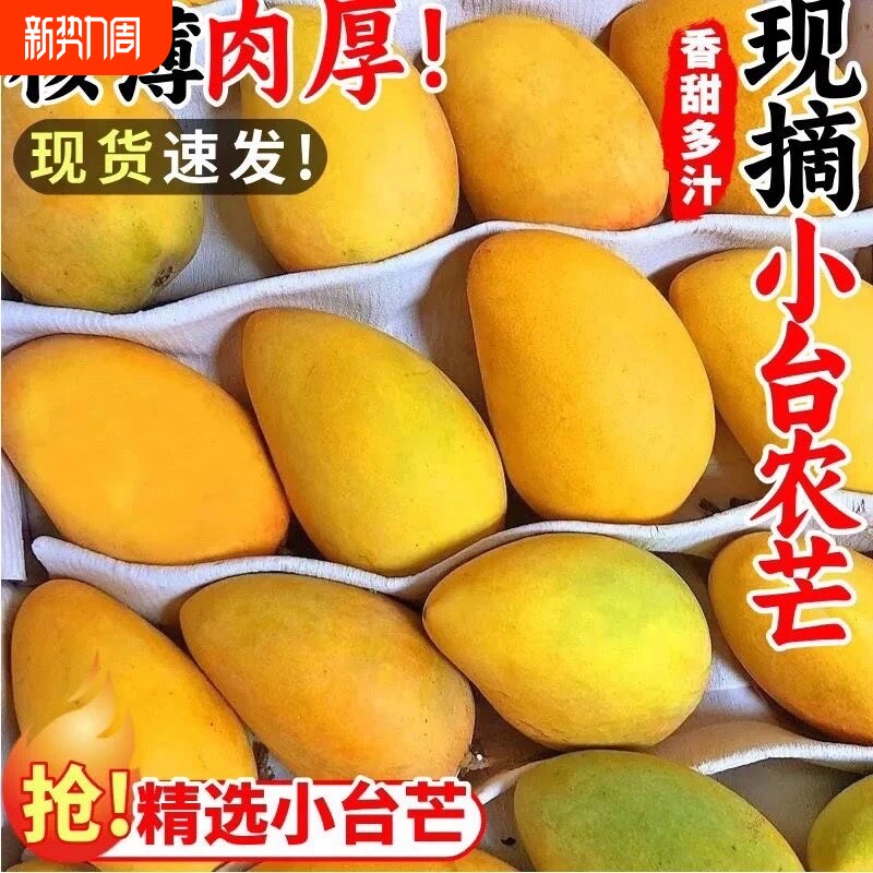 全黄海南小台农芒果多汁正宗芒应季新鲜水果产地直发热带自提现摘
