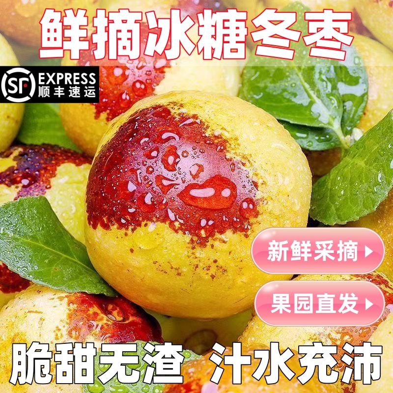 顺丰包邮正宗冬枣新鲜大果应季整箱枣子现摘脆枣冰糖大枣当季水果