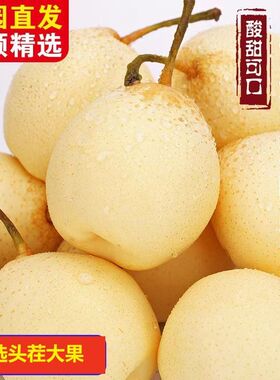 正宗河北特产鸭梨梨子新鲜水果脆甜当季果园直发整箱包邮雪梨冻梨
