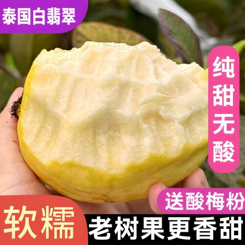 奶油芭乐广西白心新鲜软心番石榴冰淇淋水果现摘现发