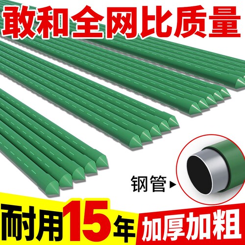 花架爬藤架葡萄黄瓜豆角架杆