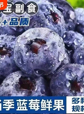 【SF/JD送货上门】蓝莓云南高山L25花香蓝莓新鲜孕妇水果宝宝副食