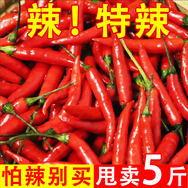 云南高山小米辣椒特香特辣