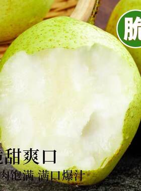 青皮梨新鲜采摘蜜梨青梨子当季现摘脆甜多汁整箱包邮批发精选优质