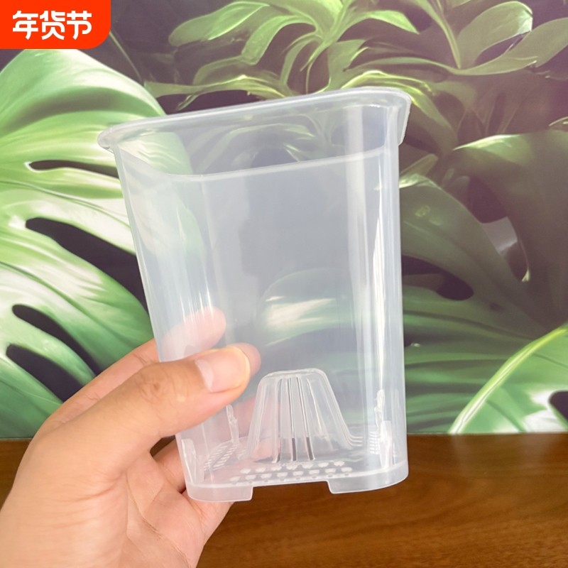 高透明控根花盆蝴蝶兰观根方口种植塑料花盆秋海棠热植多肉块根盆,鲜花速递/花卉仿真/绿植园艺,花盆,淘宝优惠券,粉丝福利购,淘宝优惠卷