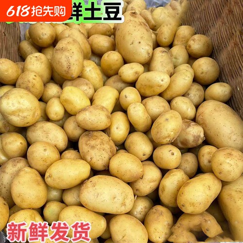 贵州农家自种新鲜土豆洋芋