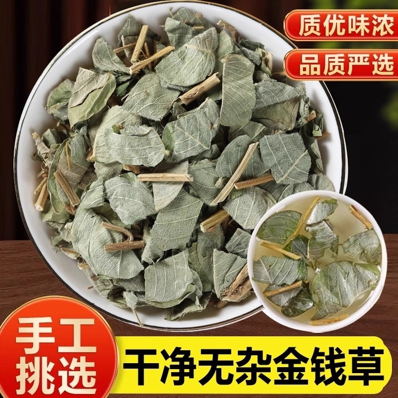 广西野生金钱草中药材官方旗舰店金钱草中草药大叶广金钱草泡茶水