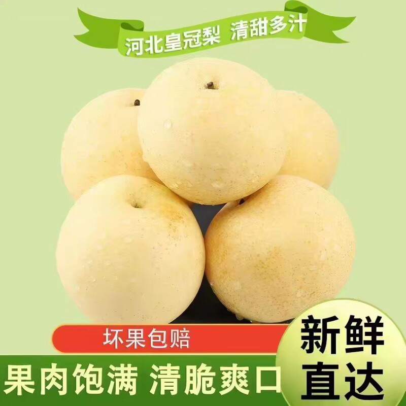 河北皇冠梨赵县白皮雪梨应季水果冰糖梨子新鲜整箱包邮当季脆甜图片
