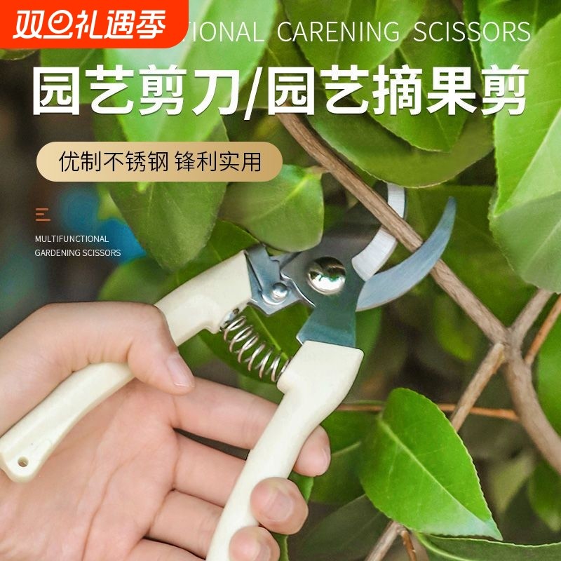 剪枝果树修枝剪刀园艺园林修花枝剪家用强力剪子神器花剪剪枝剪刀