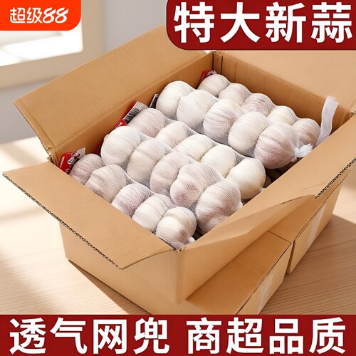 【商超品质】条蒜新干蒜净蒜金乡大蒜头正宗紫白皮大蒜头批发包邮