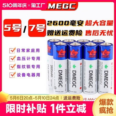 DMEGC原装5号电池2600毫安