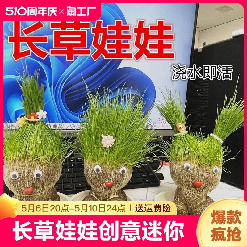 长草娃娃草头娃娃创意迷你小绿植室内盆栽植物幼儿园儿童趣味盆栽 鲜花速递/花卉仿真/绿植园艺 草头娃娃 原图主图