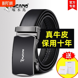 档牛皮商务潮年轻人裤 高真皮腰带男2024新款 带 正品 啄木鸟皮带男士