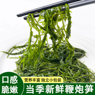 鞭炮笋长寿菜干货开袋即食盐渍马尾藻羊栖菜海藻火锅食材海带海笋