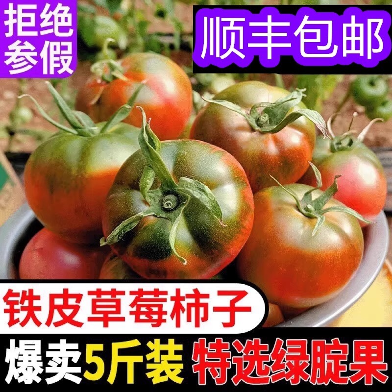 铁皮柿子顺丰包邮新鲜现摘自然熟丹东草莓番茄多汁酸甜水果番茄