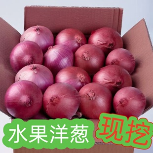 抢9斤紫皮洋葱生吃专用辣味蔬菜圆葱水果洋葱农家