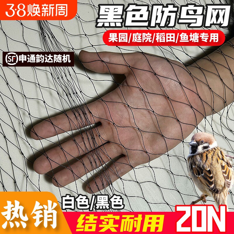 涤纶防护网高强涤纶合股防鸟网果园果树大棚防鸟天网户外鱼塘养殖