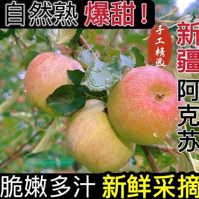 正宗新疆阿克苏冰糖心苹果脆爽多汁应季红富士苹果新鲜苹果多仓发