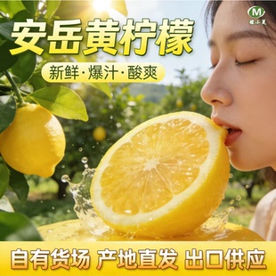 檬小夏安岳黄柠檬自有货场果园现摘直发新鲜水果爆汁鲜果皮薄