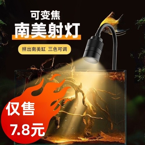 南美迷你鱼缸射灯|超9000次加购