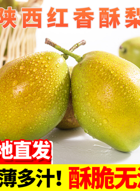 陕西红香酥梨新鲜水果梨子应当季时令砀山脆甜青雪现季梨汁酥脆膏