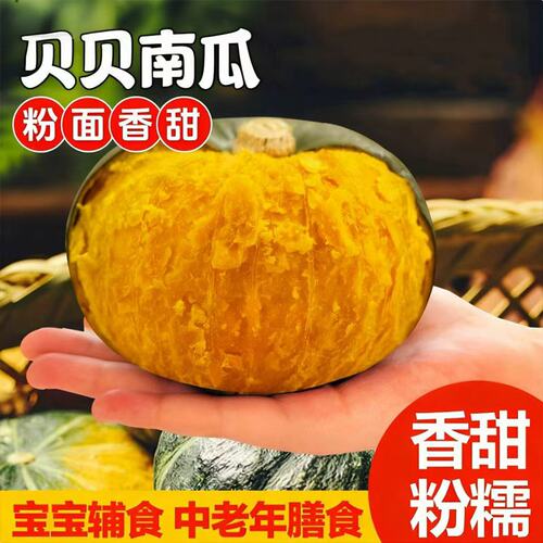 贝贝南瓜板栗味新鲜现摘